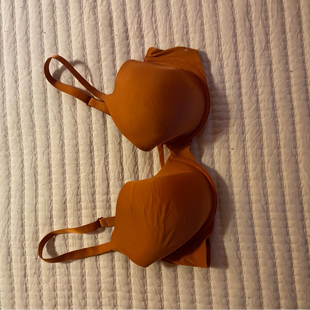 Aerie Rust Bra